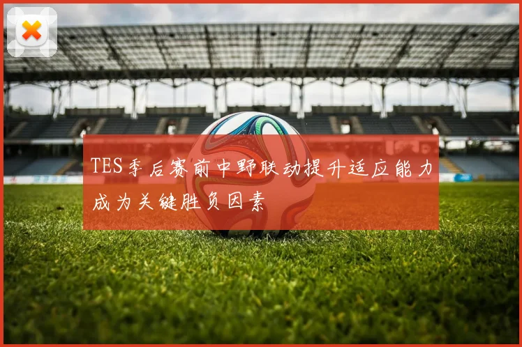 TES季后赛前中野联动提升适应能力成为关键胜负因素